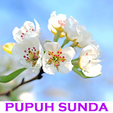 17 Pupuh Sunda icon