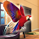 My pet mundo papagaio simulador Bird terras jogos Baixe no Windows