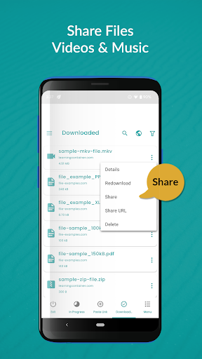 Pro FDM: file Download Manager screenshot 31