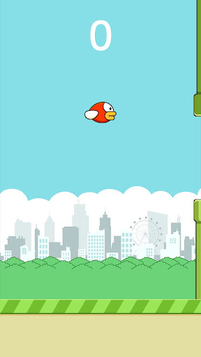 Krrong Bird Screen 2