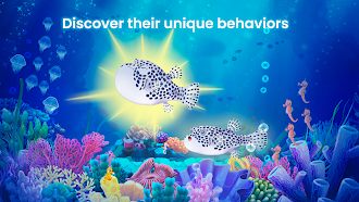 Game screenshot Splash: Fish Sanctuary apk download