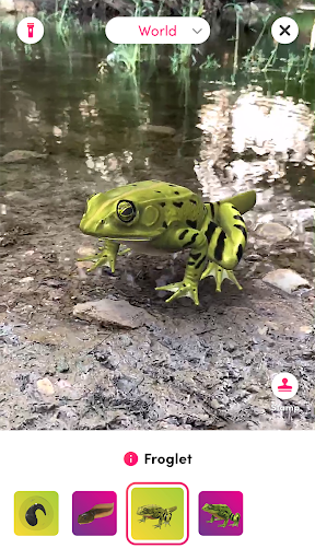 Screenshot of Merge Object Viewer