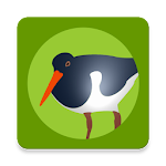 Cover Image of Download Die Vogel App!  APK