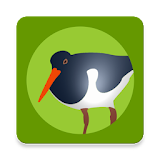 Die Vogel App! icon