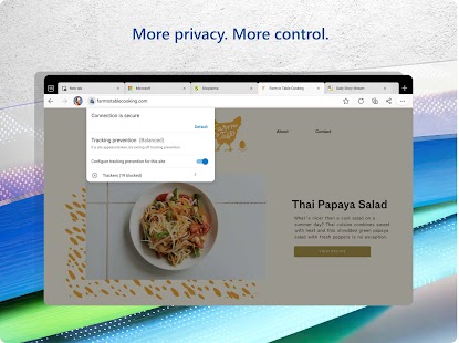 Microsoft Edge Web Browser Screenshot