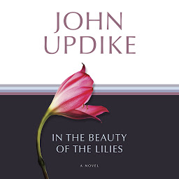 Icon image In the Beauty of the Lilies: A Novel
