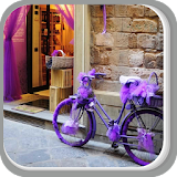 Purple Bike in front of Shop icon