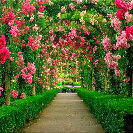 Garden Wallpapers logo