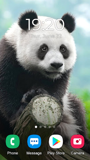 Panda Wallpaper 2024 Screenshot 2 - AppWisp.com
