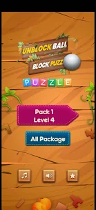 Unblock Ball-Block Puzzle 2023