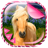 Cute Horses Live Wallpaper icon