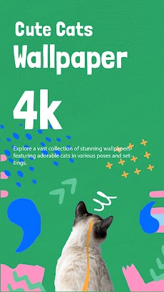 Cute Cat Wallpapers - 4Kのおすすめ画像1