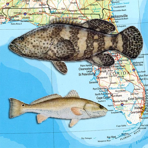 Florida Reef Fishing Scuba Map  Icon