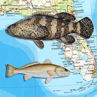 Florida Reef Fishing Scuba Map