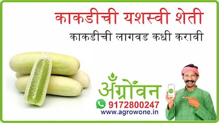 मुळा लागवड #Agrownet™ Screen 1