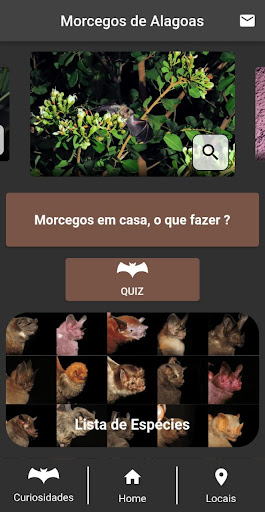 Android application Morcegos de Alagoas screenshort
