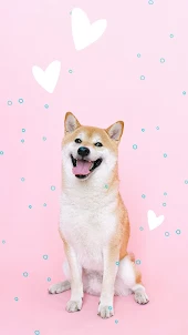 Wallpaper Dog Cute