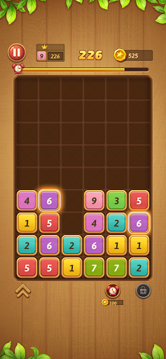 Block Puzzle - Wood Block Screen 3