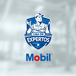 Cover Image of Download Liga de Expertos 1.0 APK