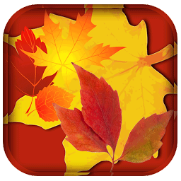 Icon image Orange Leaf Live Wallpaper