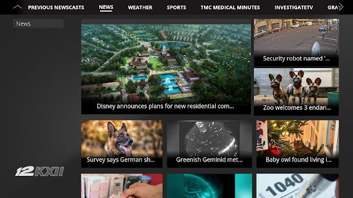 Screenshot of KXII News