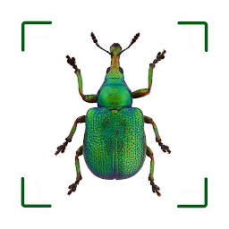Imagen de ícono de BUND Insekten Kosmos