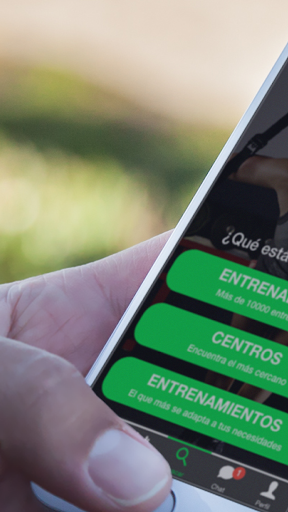 Vista previa de la aplicación