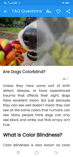 Dog Care Ultimate Guide