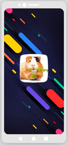 Android application Guinea Pig Sounds screenshort