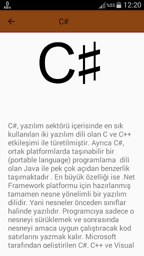 Programlama Dilleri Screen 2