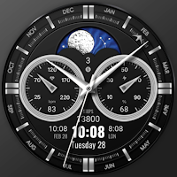 WFP 309 Classic watch face