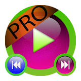 Secret Video Recorder Pro icon