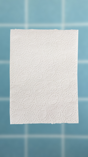 Klopapier-App Screen 2