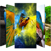 Macaw Parrot Lock Screen