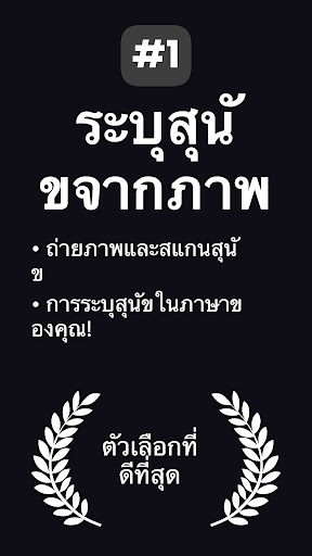 ตัวอย่างแอป