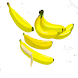 painting of banana