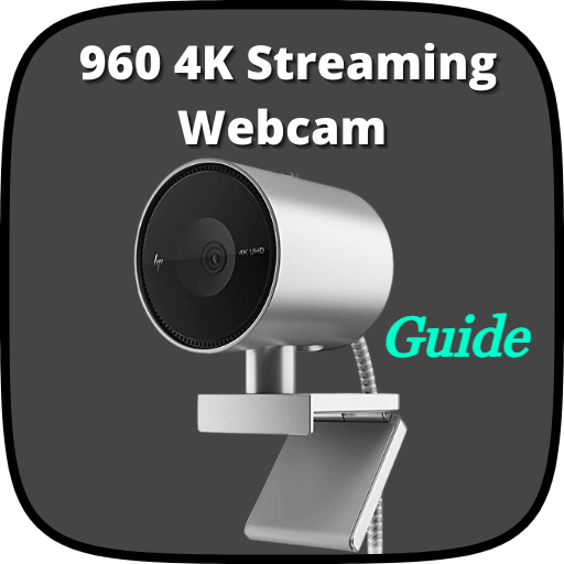 4K Streaming Guide