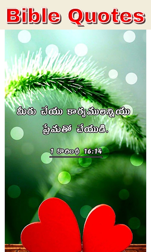 Android application Bible Quotes Telugu screenshort