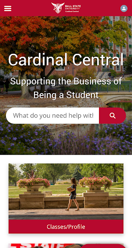Cardinal Central Screen 3