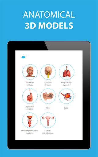 Screenshot of Human Anatomy Learning - 3D