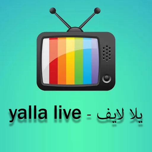 يلا لايف - yalla live