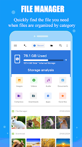 Screenshot image