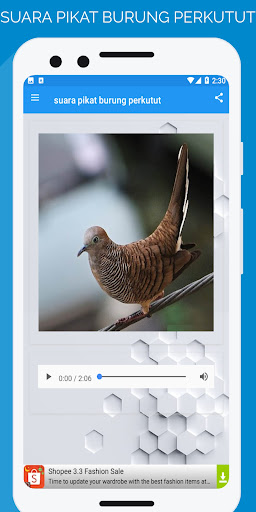 suara pikat burung perkutut Screen 3