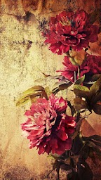 Vintage Roses Live Wallpaper