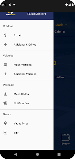 Parkgold Pay Screen 3