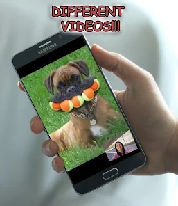 Google play shop funny videos
