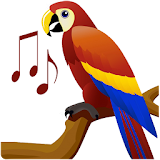 اصوات الطيور - Birds Sounds icon