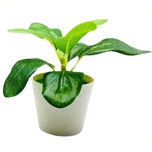 Catch Em Plantz logo
