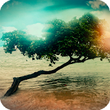 Magical Trees Live Wallpaper icon