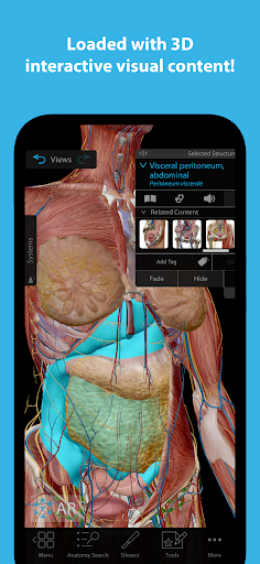 Human Anatomy Atlas 2024 1